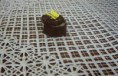 /album/galeria-de-fotos-galeria-de-produtos/a5-jpg/